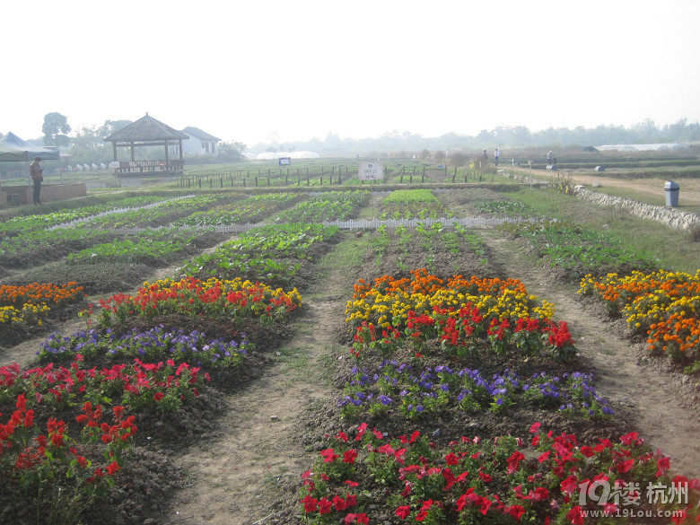 亲子嘉年华我是小小农场主回顾贴--我们明天
