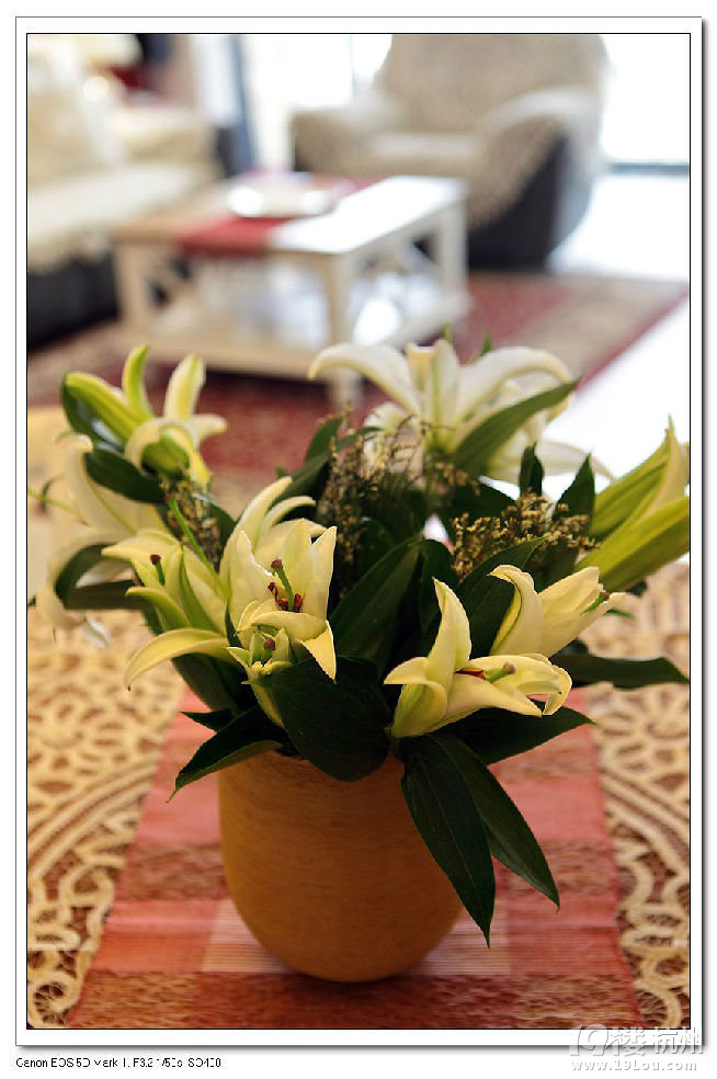 【1917杯秀家大赛】女人我最大 女人味十足的