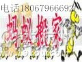 ݰΛρ18067966692