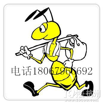 ݰΛρ18067966692