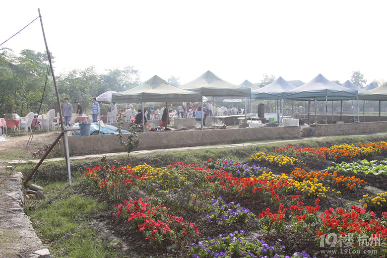 我是小小农场主---喂羊,种豆,包饺子,真的很忙-活