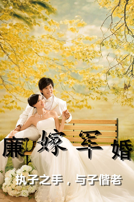 【原创--完结篇】廉嫁军婚