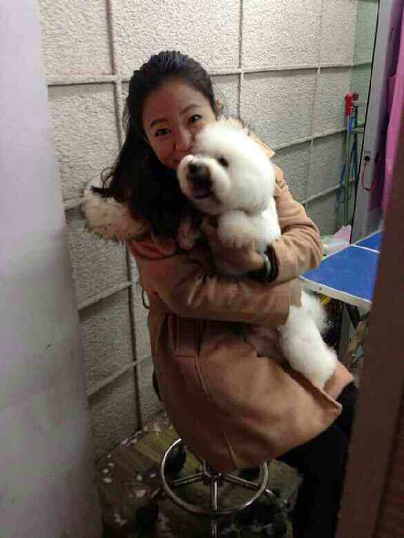 小少爷Diamond美容前后对比照~-家有宠物-杭