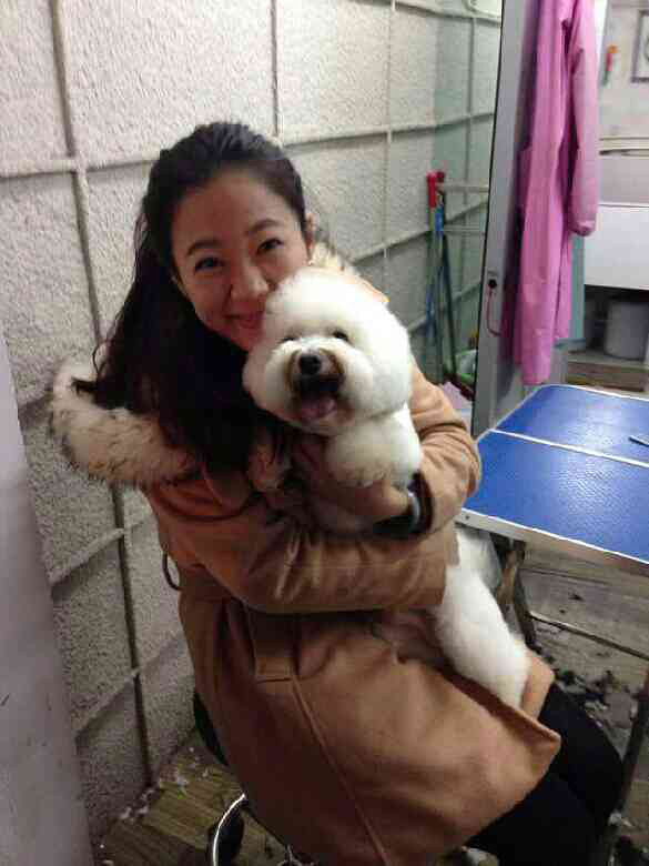 小少爷Diamond美容前后对比照~-家有宠物-杭