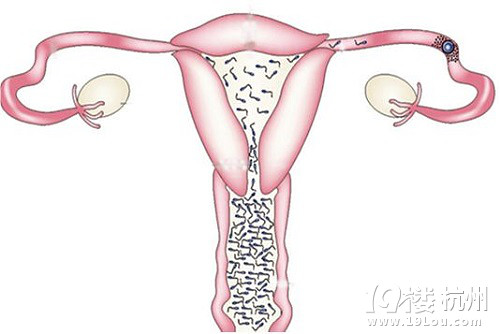排卵期的症状-准妈妈俱乐部-准妈妈论坛-杭州1