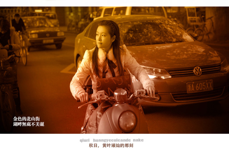 西湖印象:黃葉燦爛