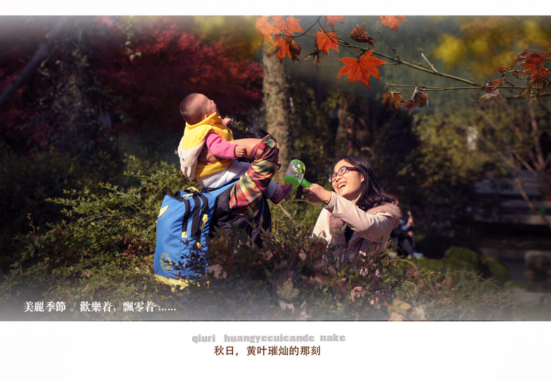 西湖印象:黃葉燦爛