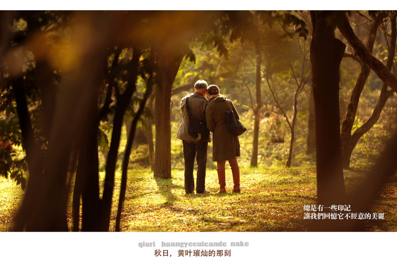 西湖印象:黃葉燦爛