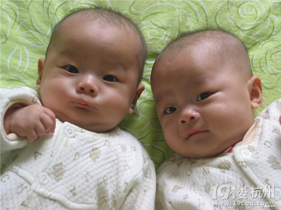双胞胎是怎么形成的-想要宝宝-杭州19楼