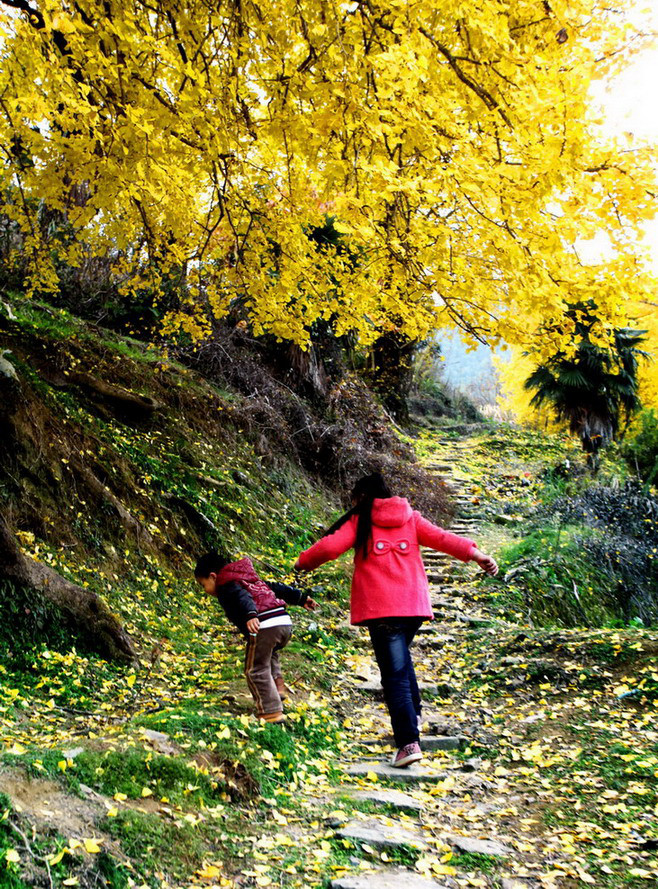 ]Fĵطz2013.12.07
