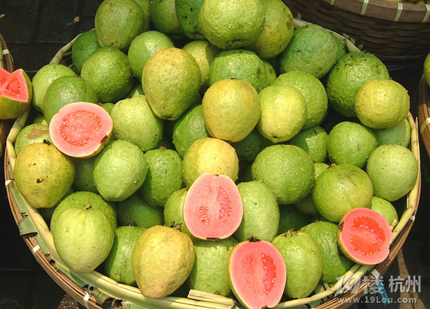 孕妇可以吃番石榴吗-健康营养学堂-准妈妈论坛