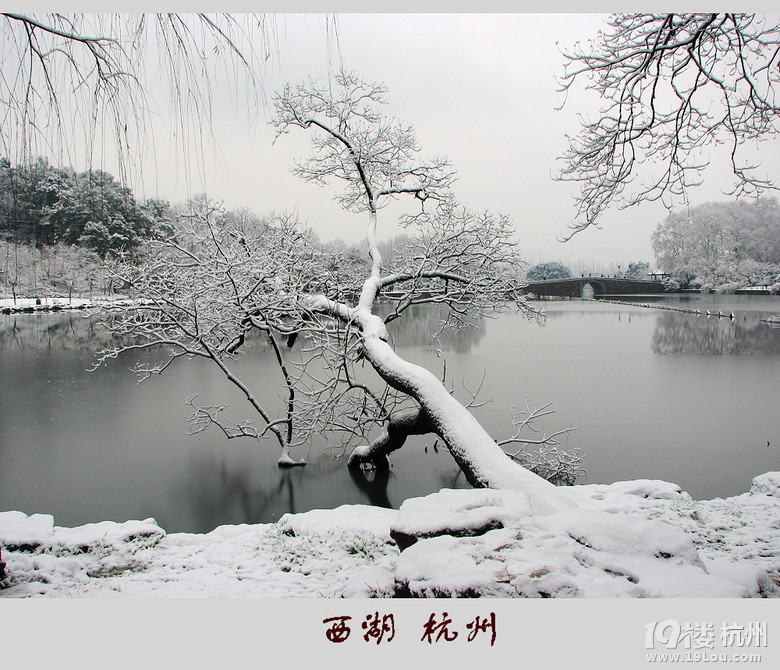 冬季到杭州来看雪-杭州旅游攻略-大杭州旅游-杭
