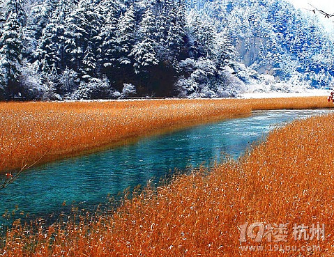 四川九寨沟四季美景-杭州旅游攻略-大杭州旅游