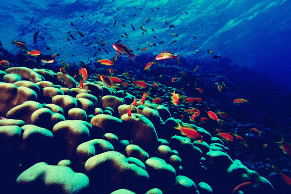 潜水胜地--精选-商业活动-户外商家自荐-杭州1