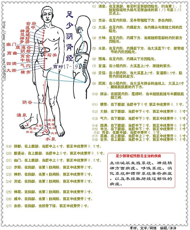 足少阴肾经.jpg