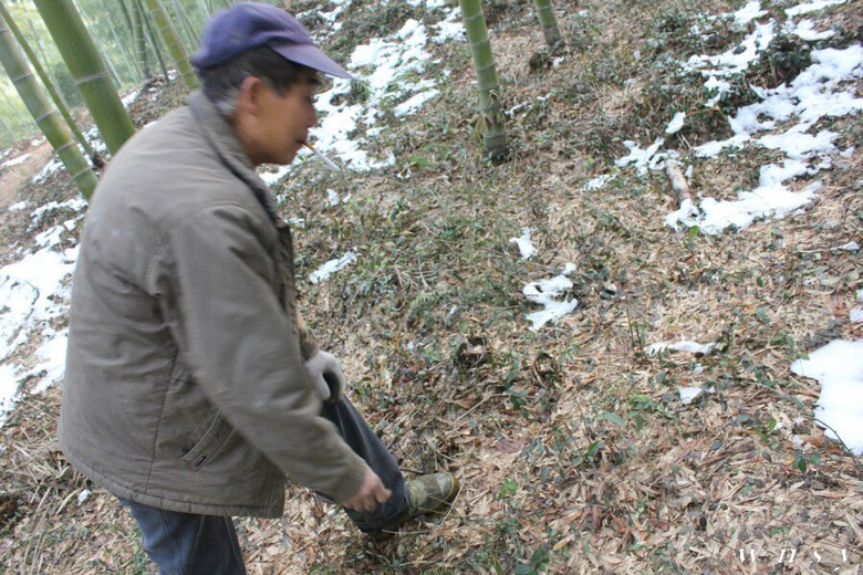 黄龙飞烈士安息吧!现场视频-边走边拍-边走边拍