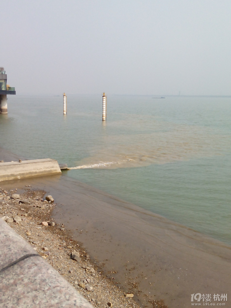 钱江新城城市阳台江面(灯塔附近)江水好脏-口水