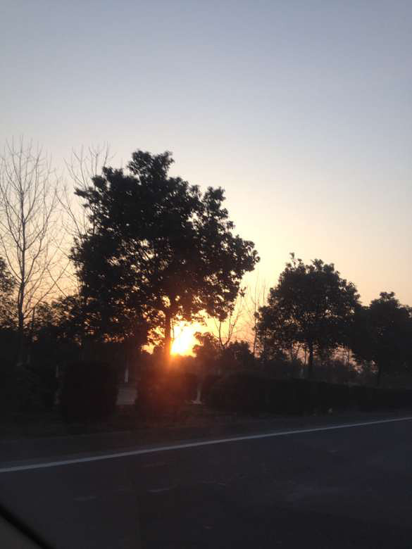 早晨的太阳-手机随手拍-杭州19楼