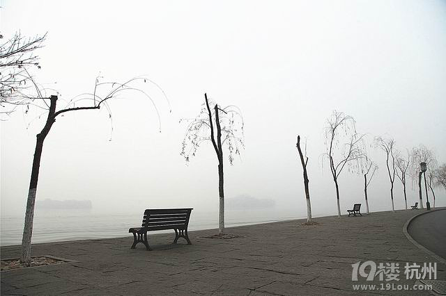 1月6日 杭州雾霾情况