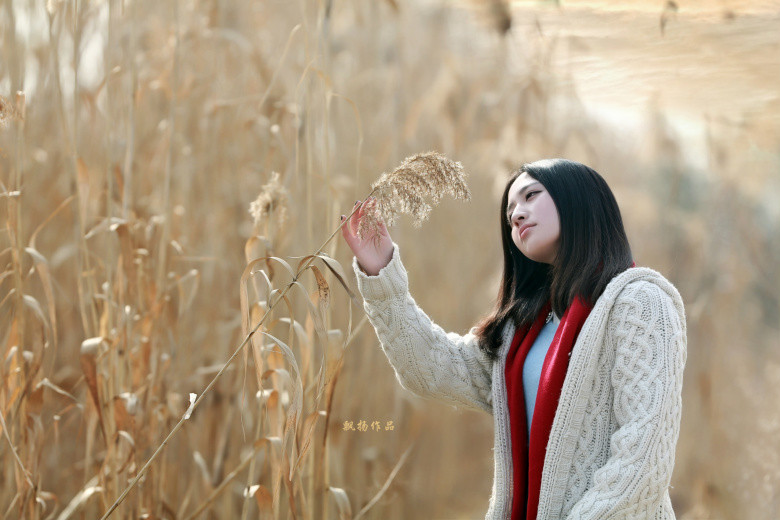 草漠斜陽