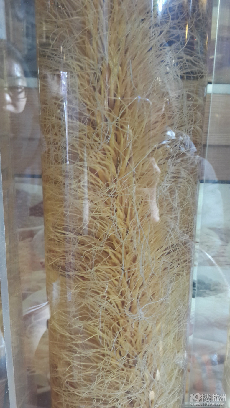 【8队】亲,我们去韩国吧~~主打美食+精选美肤