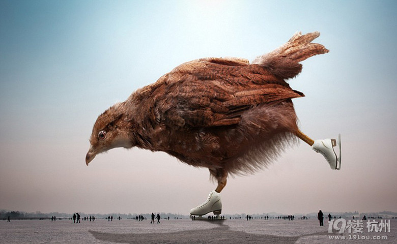 骆驼抽烟小鸡滑冰 瑞士IT狂人创造超现实动物艺