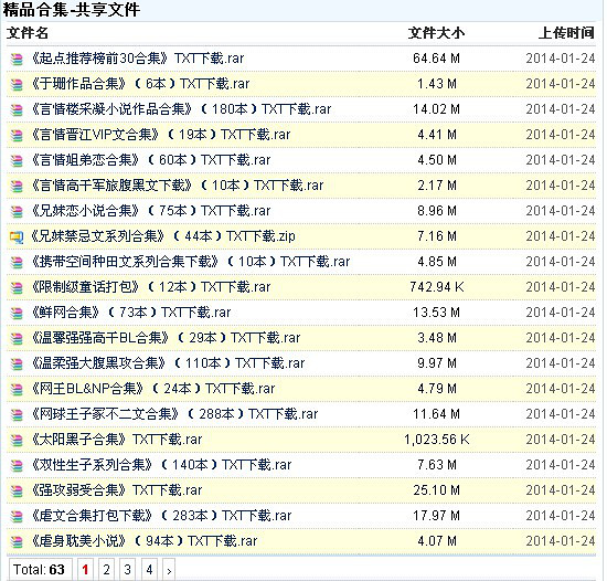 《<em>父女文</em>合集打包下载》(47本)TXT下载-网文共