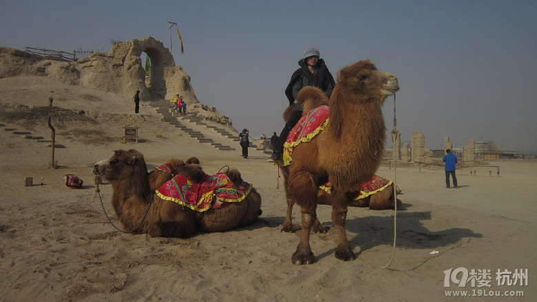 泰山--平遥古城--银川(西夏王陵,西部影视城)七