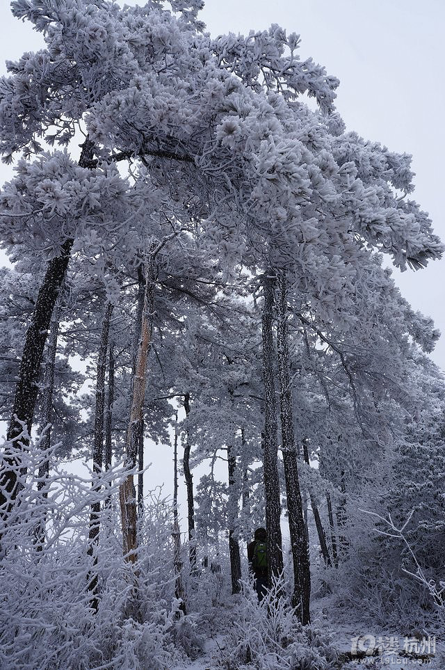 我相信青春没有地平线---百丈岭追雪(作业)-游记