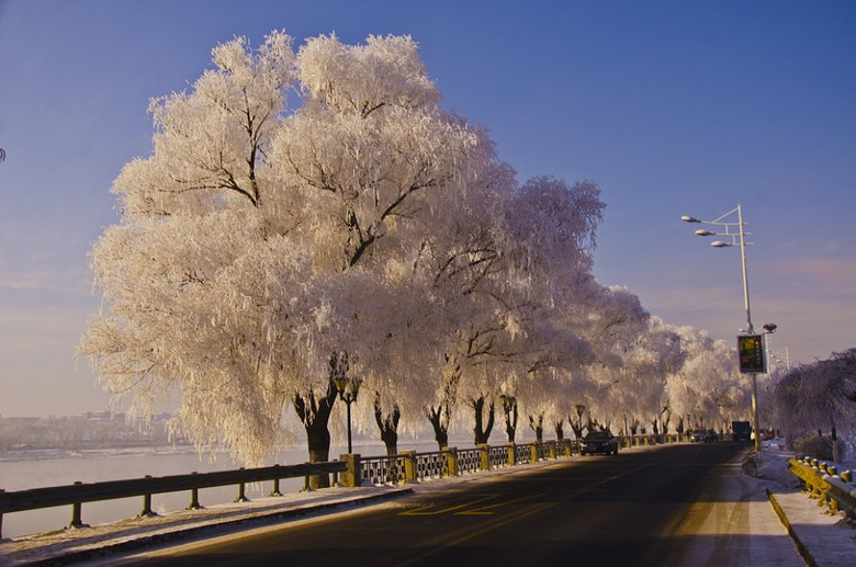吉林雾凇-风景照-19摄区-杭州19楼