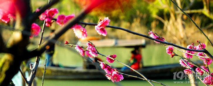 【快乐分享】千与千寻,告诉我们不要迷失自我