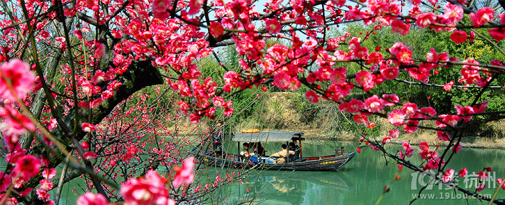 【快乐分享】千与千寻,告诉我们不要迷失自我