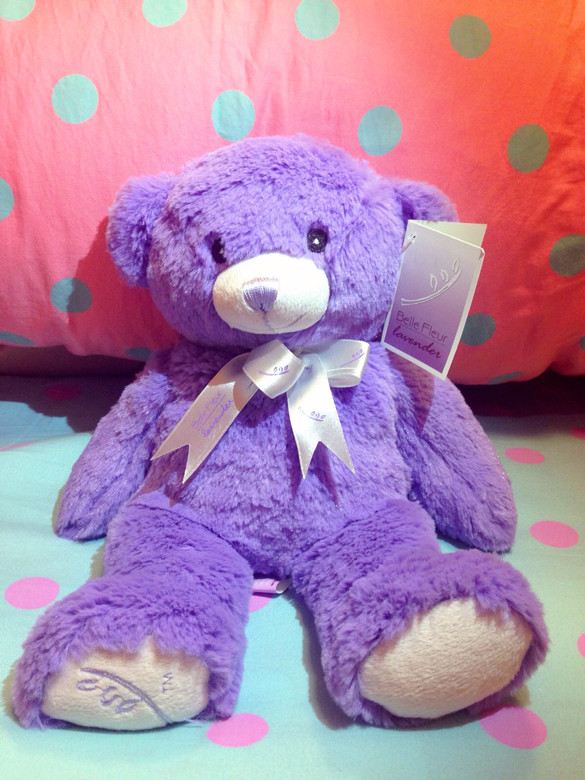 澳洲刚直邮Bella小熊!现货两只哦!抓紧-我要代