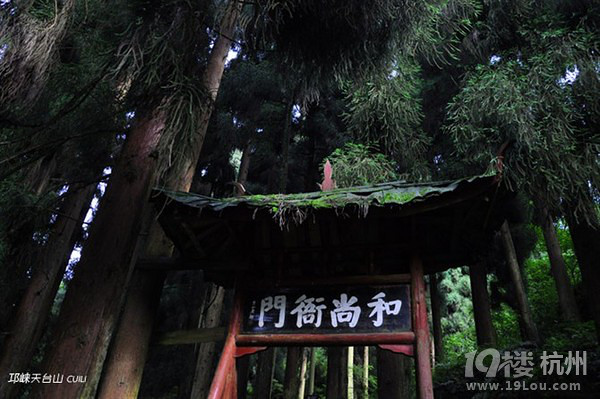 川妹子帶你游四川天臺(tái)山（內(nèi)有攻略 強(qiáng)烈推薦）