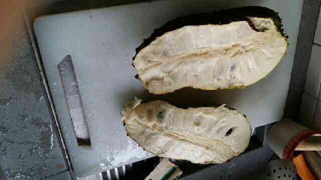 soursop 刺果番荔枝 我的最爱-随手拍美食-杭州