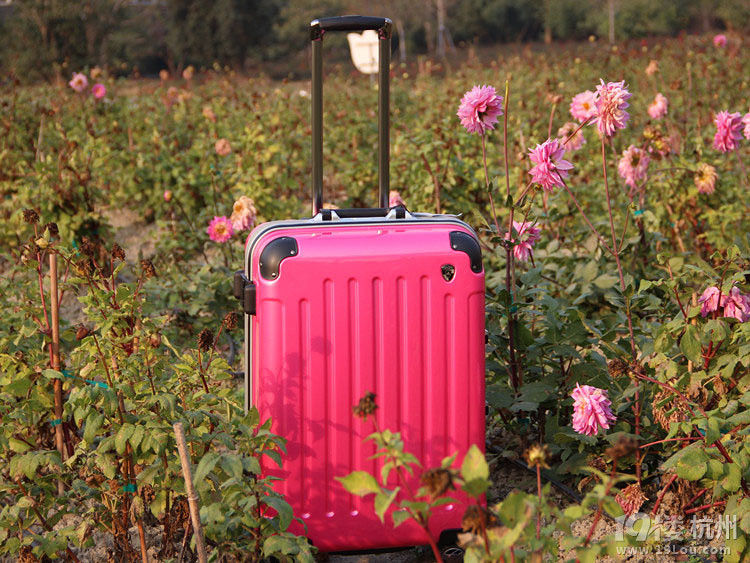 玩淘宝的来投票哦-Shopping帮-杭州19楼