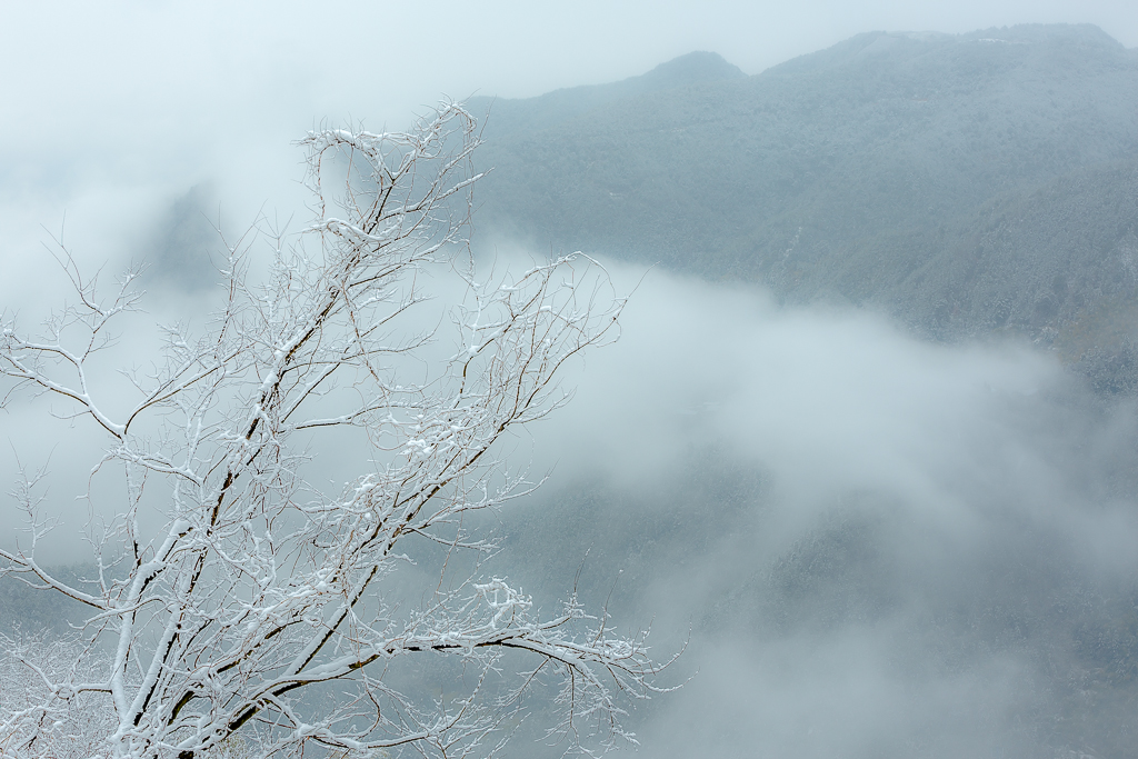 天台雪霁(2014年2月摄于天台山)_图5