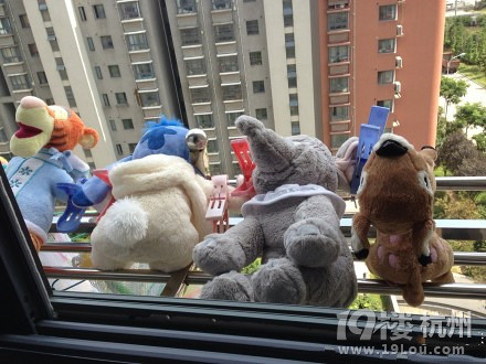 毛绒玩具怎么洗?【创意方法大征集】