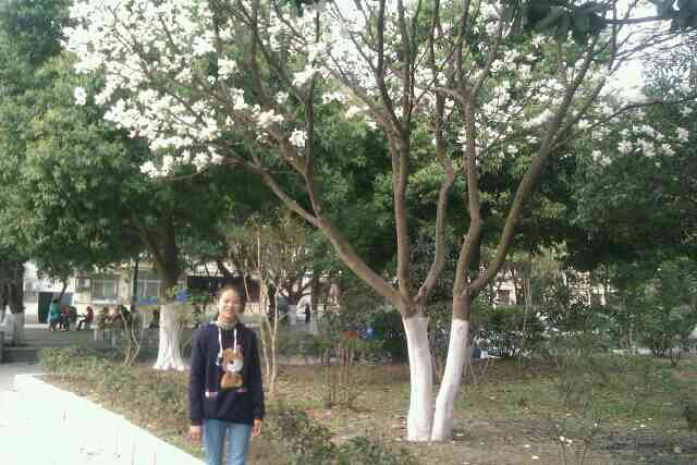 春天到了,腊梅怎么不开花捏?嘻嘻