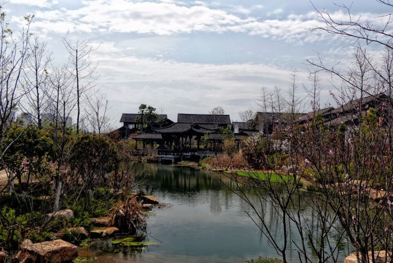 人间美景三月天-风景照-19摄区-杭州19楼