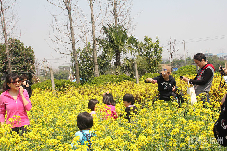 关注青少年农业科普教育-小学教育-小学教育-杭