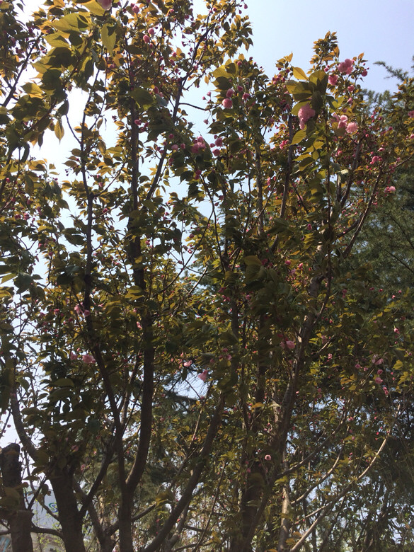 脉动新口味-手机随手拍-杭州19楼