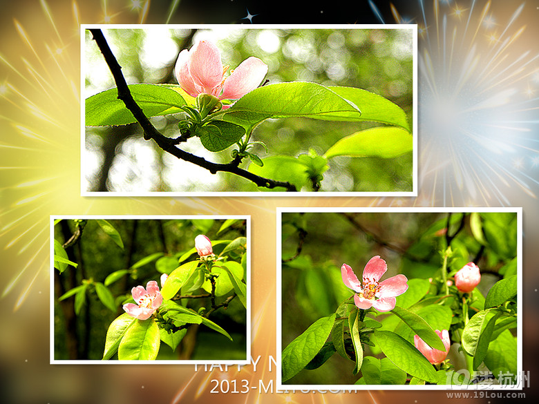 @ﴺҲ---ֲ@һԴ