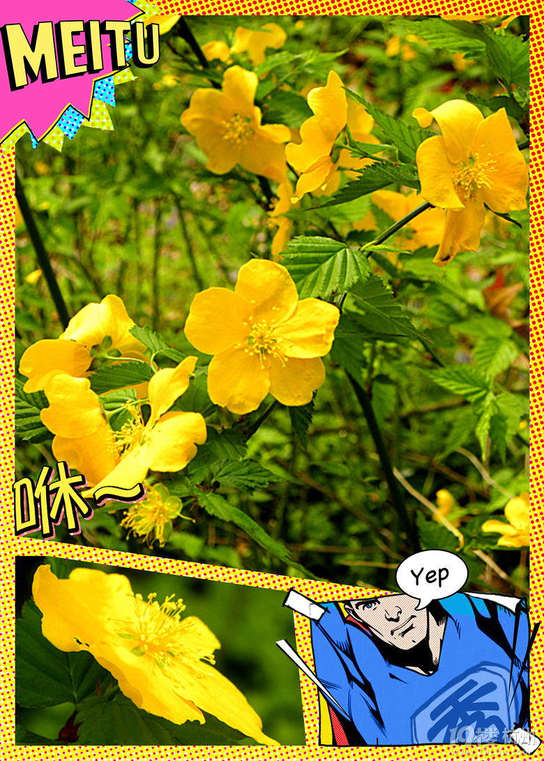 @ﴺҲ---ֲ@һԴ