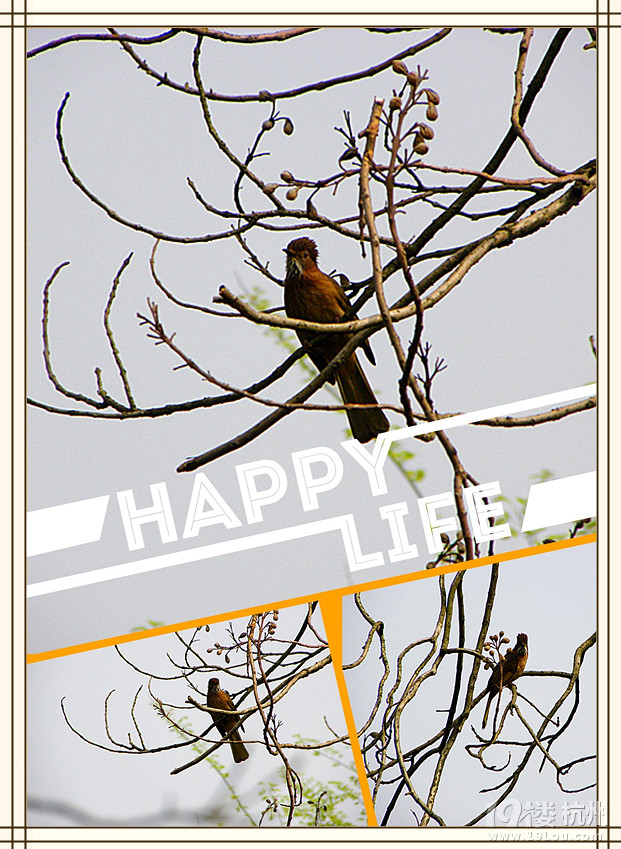 @ﴺҲ---ֲ@һԴ