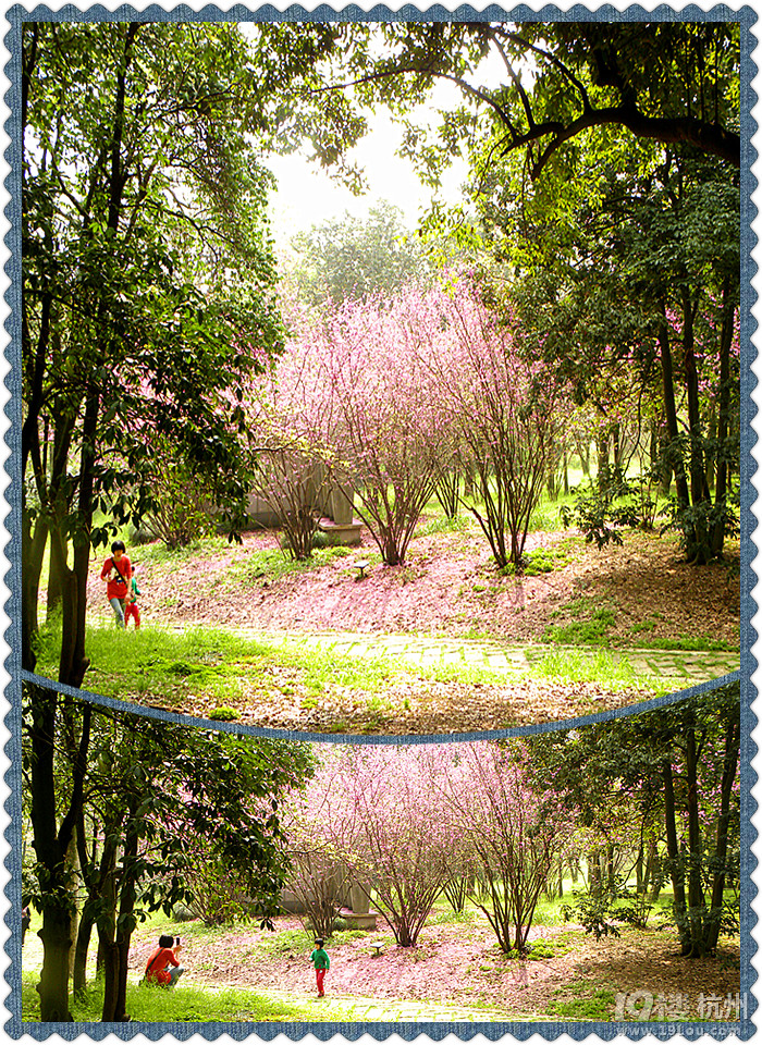 @ﴺҲ---ֲ@һԴ