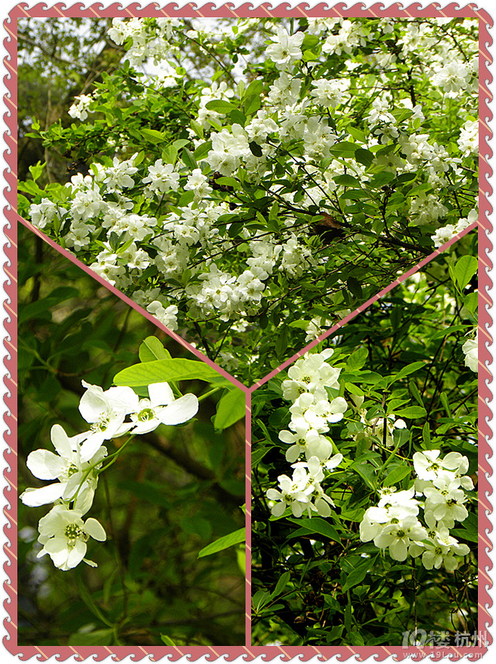 @ﴺҲ---ֲ@һԴ