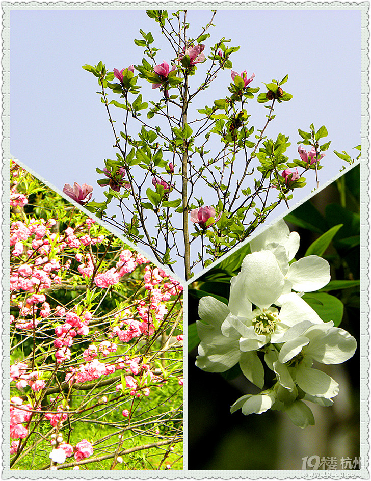 @ﴺҲ---ֲ@һԴ