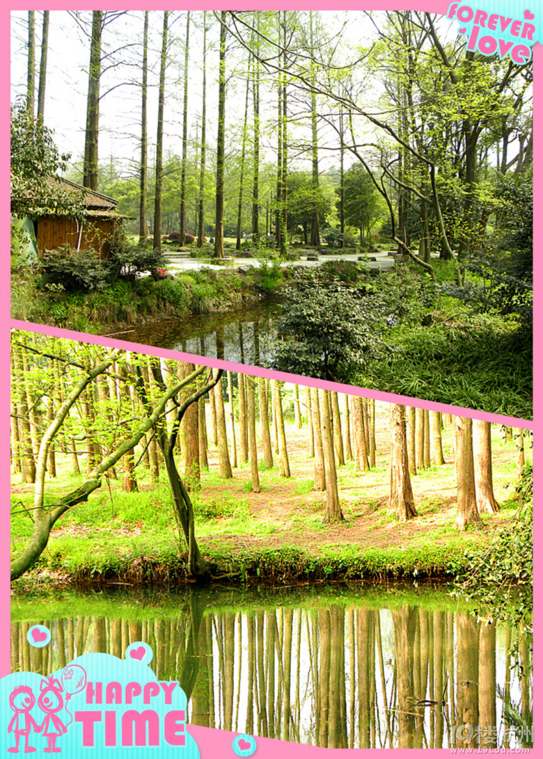 @ﴺҲ---ֲ@һԴ
