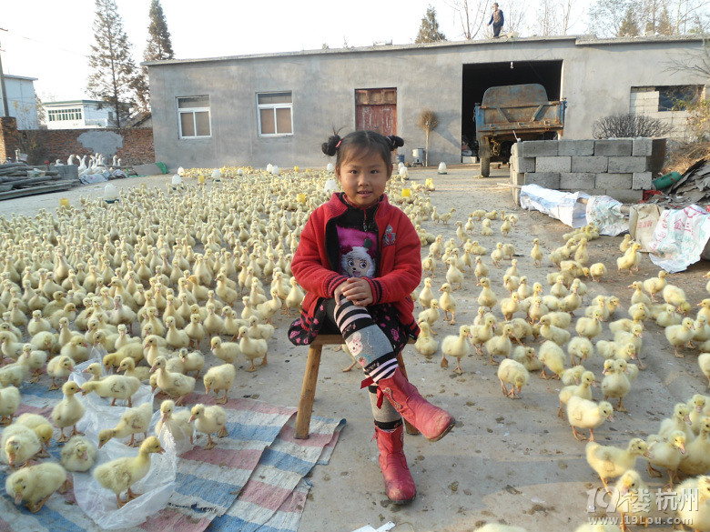 城西钟点工找活,打扫卫生,擦玻璃,烧饭-家有保